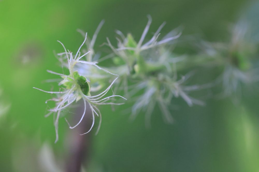 Photograph by vatsal mandaviya