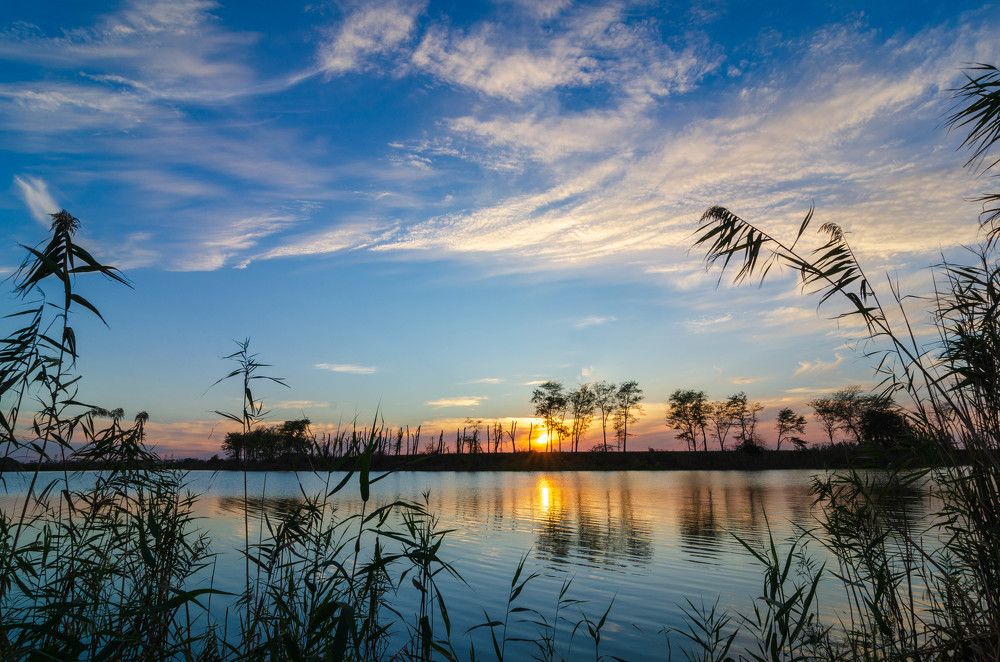 Photograph by Александр Редько