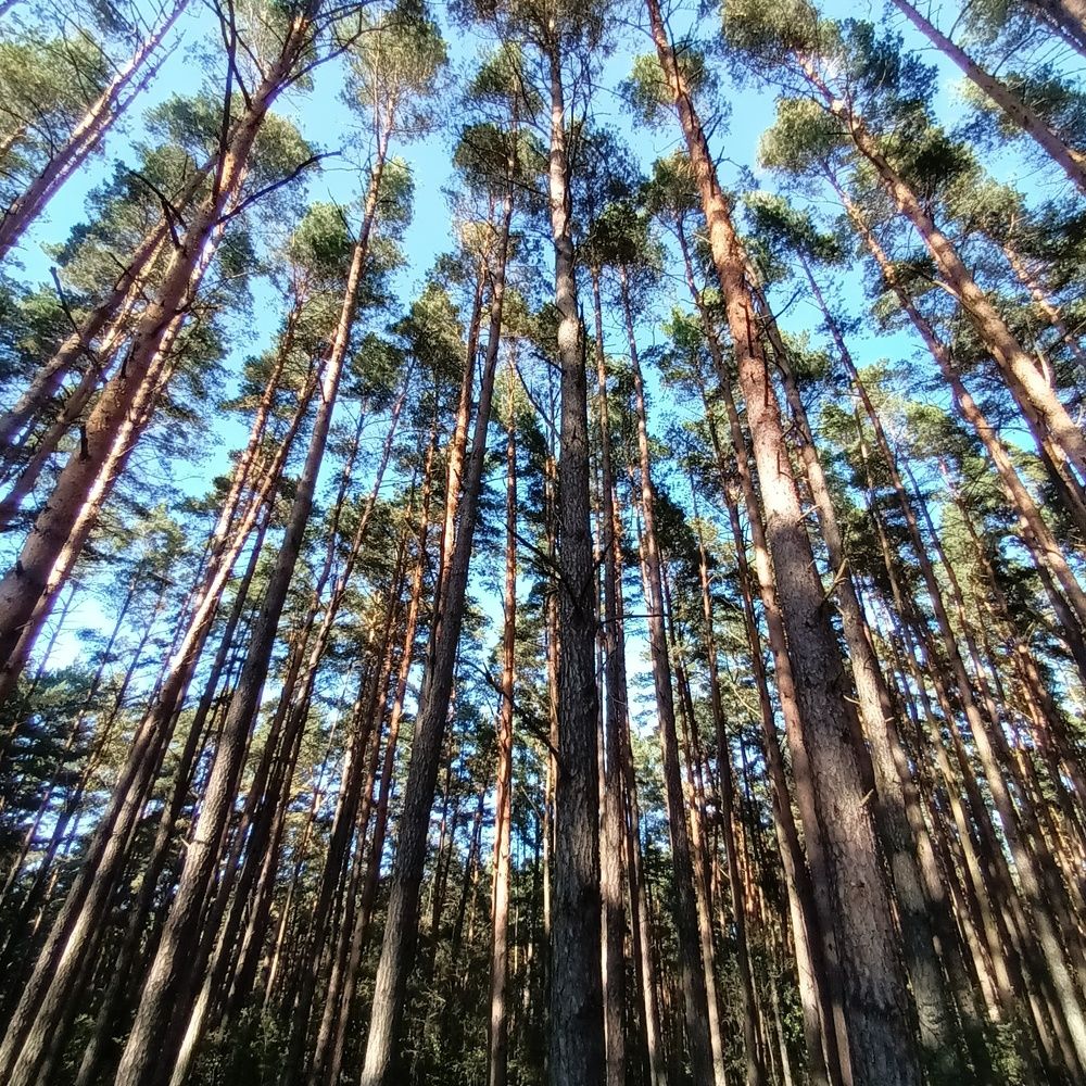 Фотография автора Maks Lanister