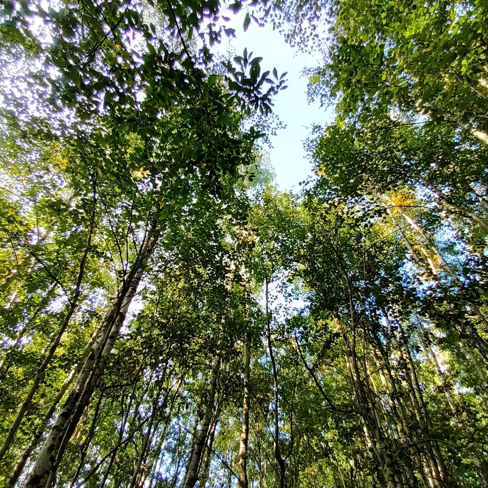 Фотография автора Maks Lanister