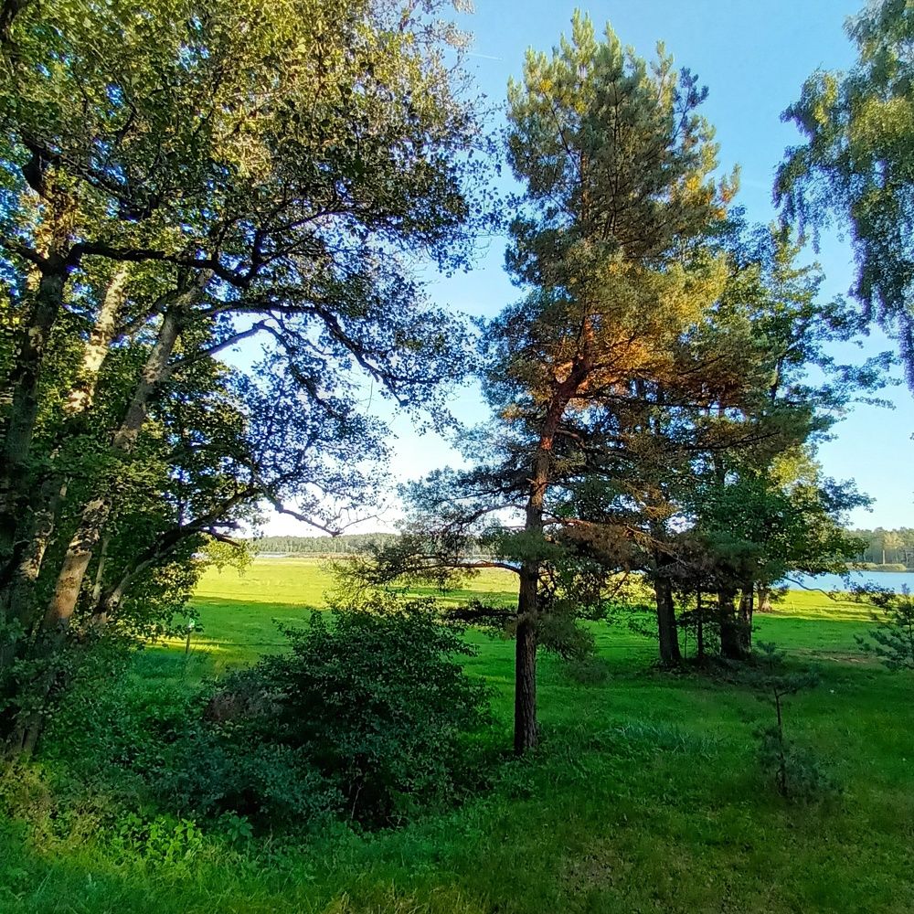 Фотография автора Maks Lanister