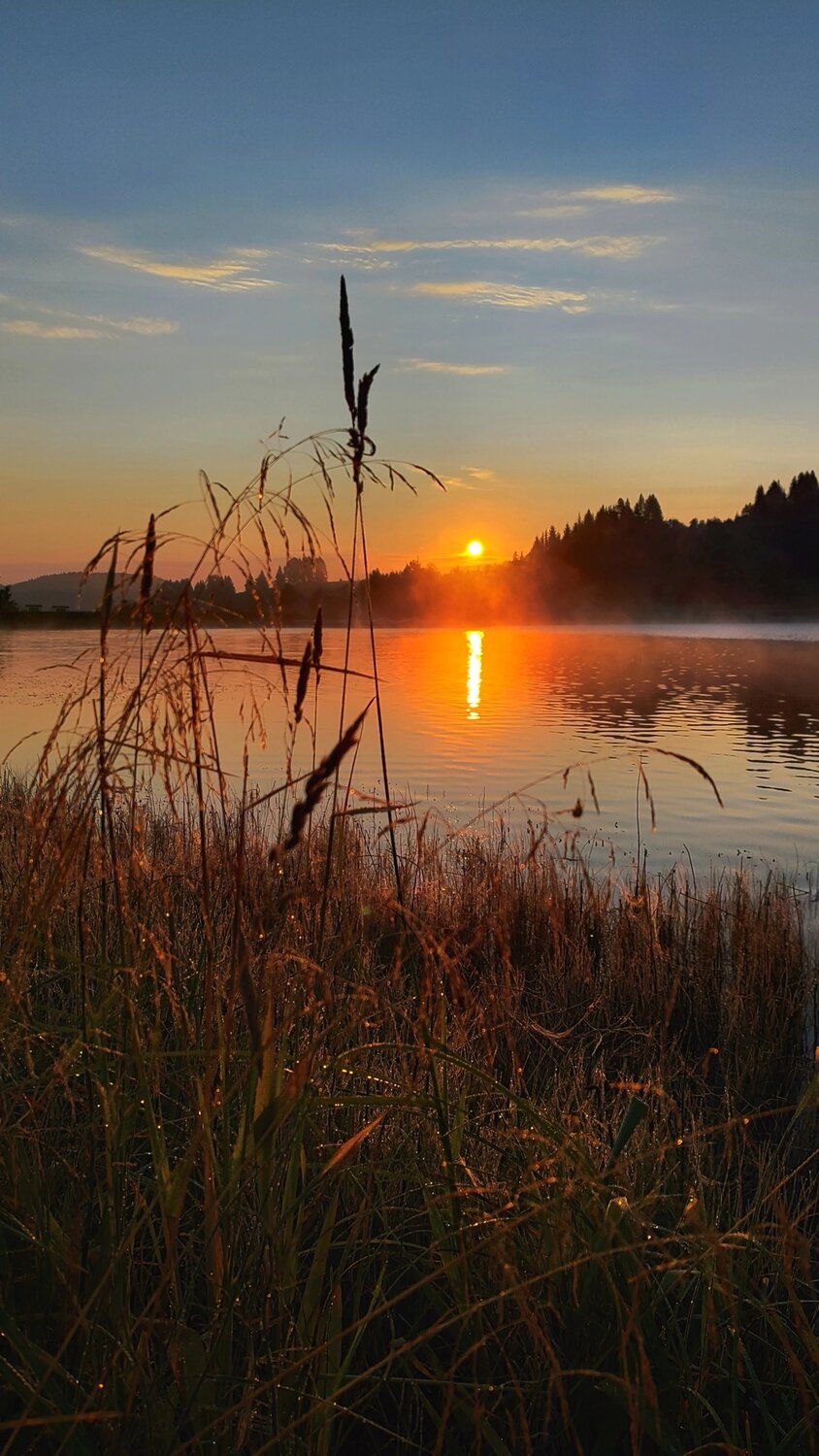 Photo #9571486