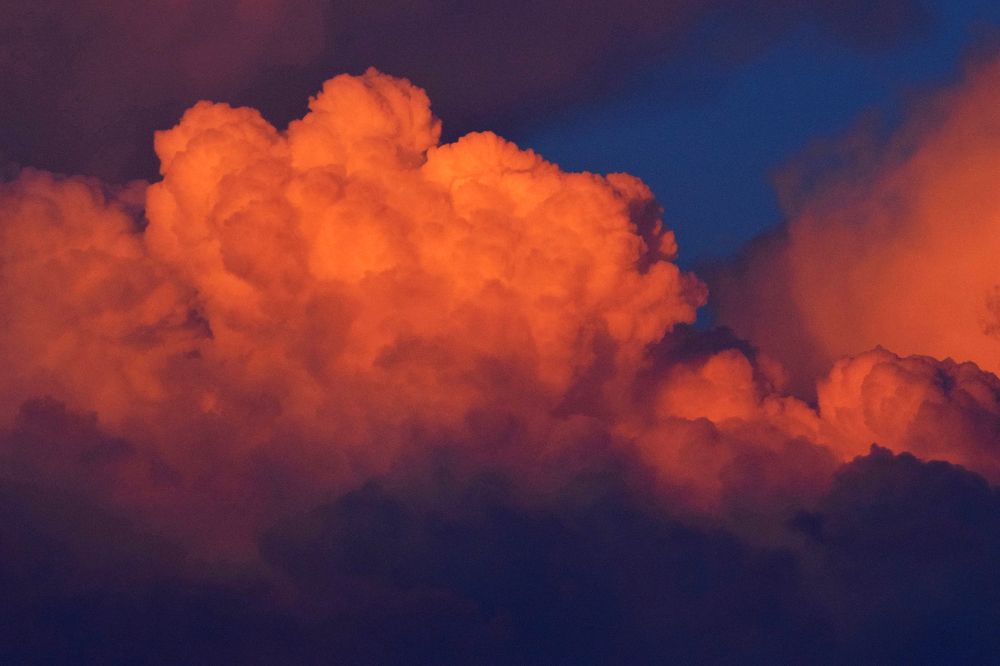 Photograph by Onyx X