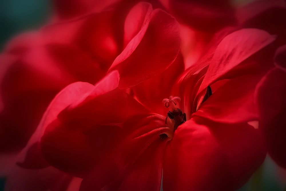 Photograph by Татьяна Бравая