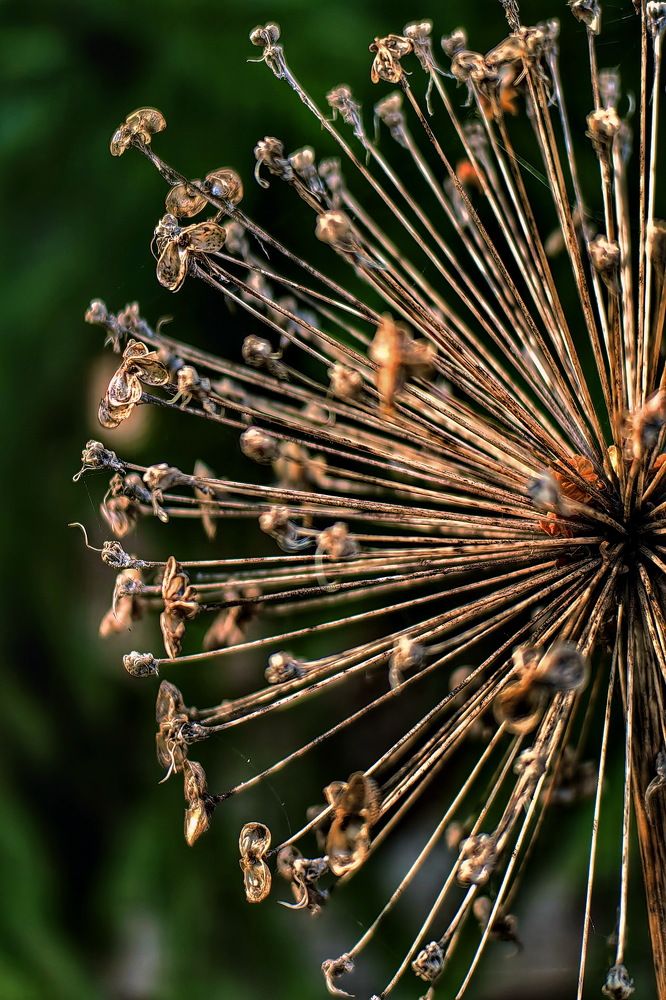 Photograph by Татьяна Бравая