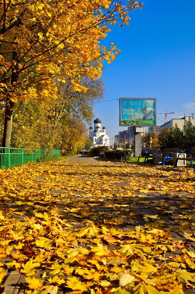 Photograph by Денис Прохоров