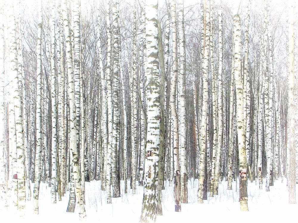 Photograph by Борис Кравецкий