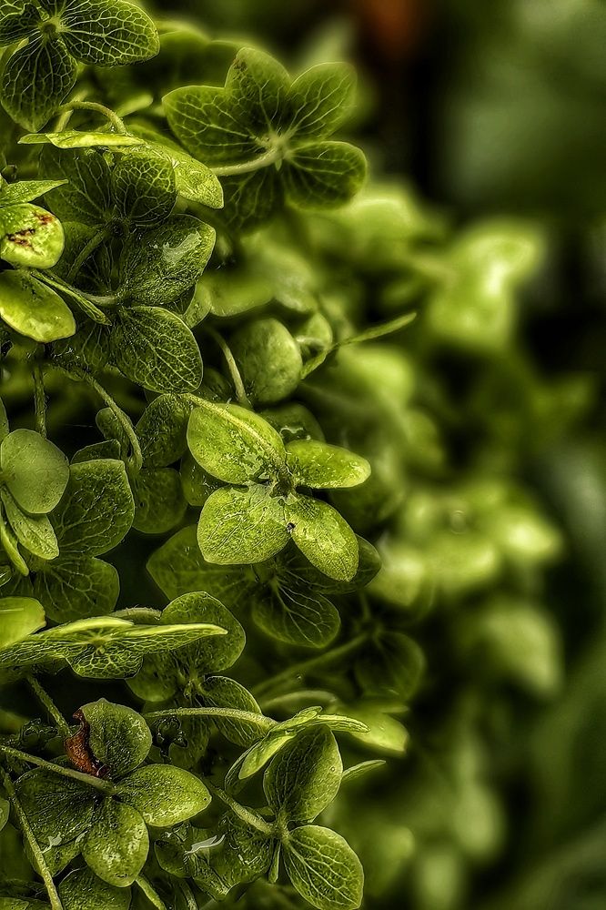 Игра света и тени.