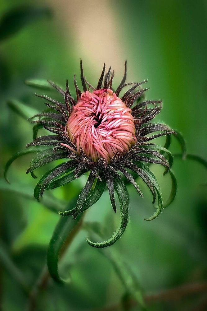 Photograph by Татьяна Бравая