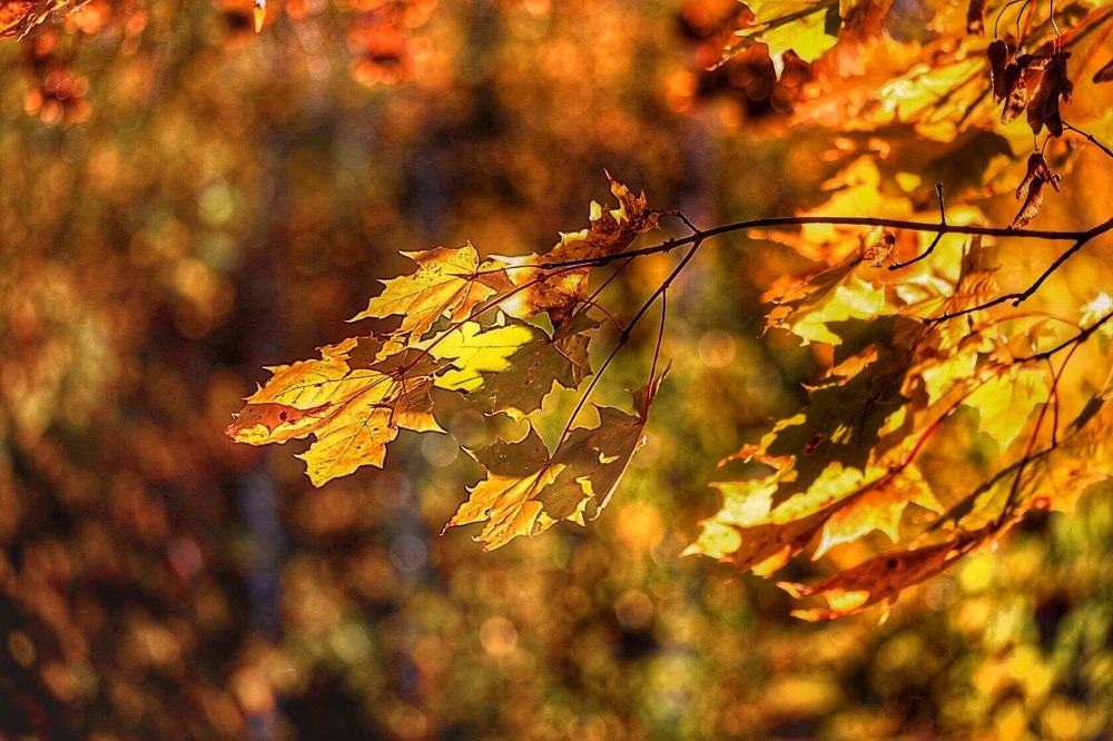 Photograph by Татьяна Бравая