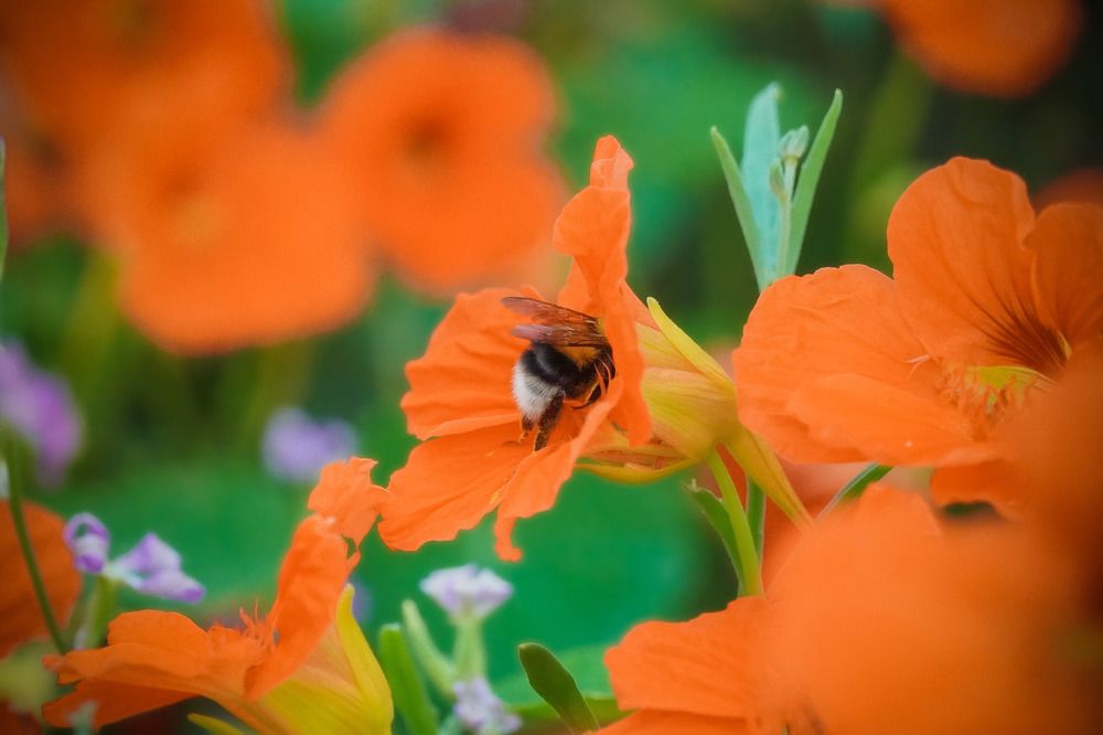 Photograph by Высотских Владимир