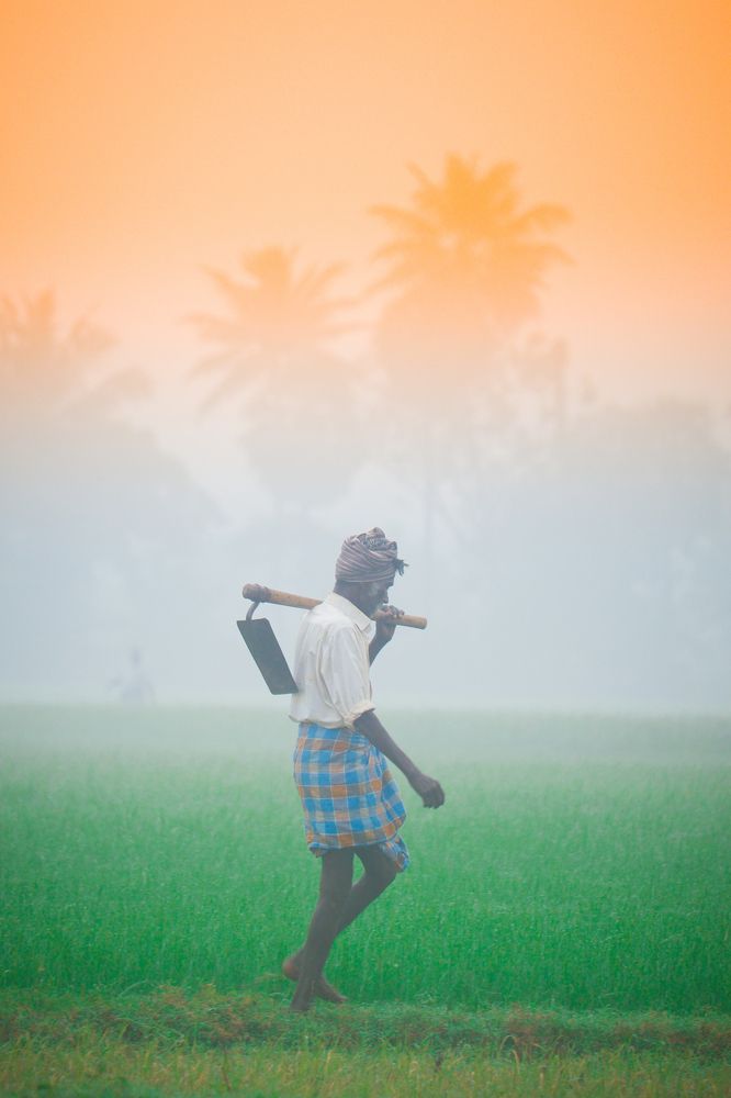 Photograph by Janarthanan. A