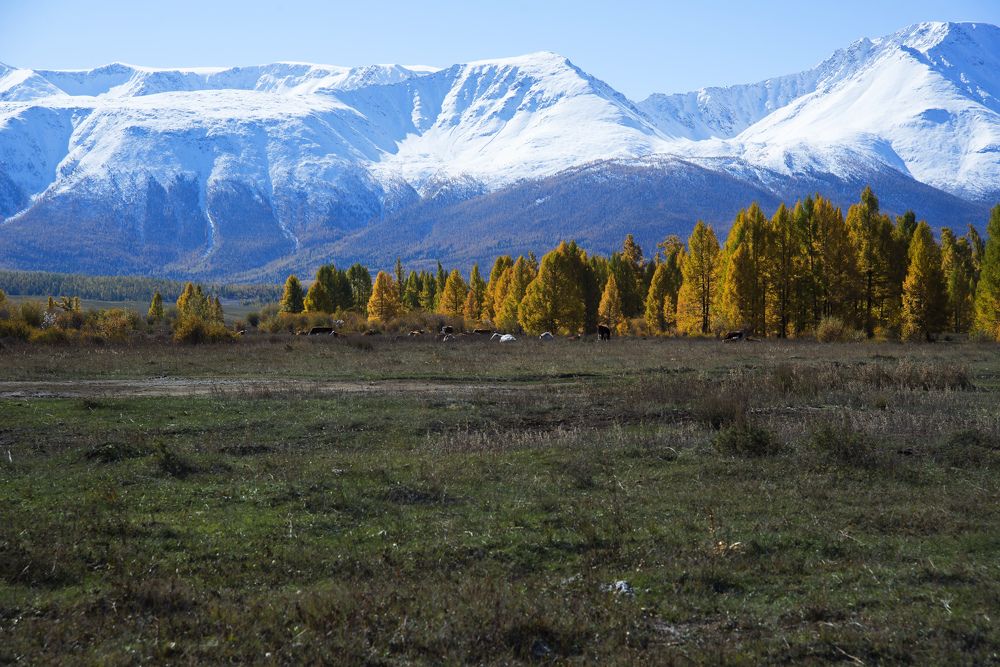 Photograph by Дроздова Наталья