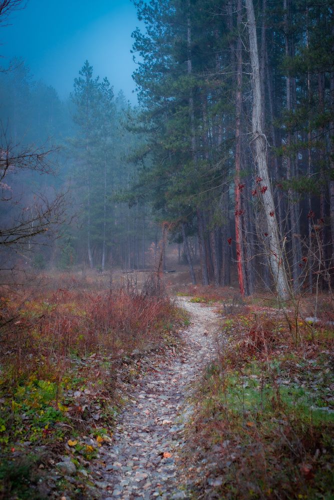 Photograph by Христо Колев