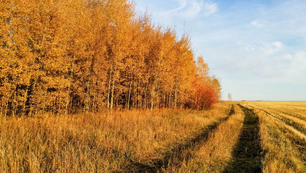 Photograph by Ирина Алпацкая