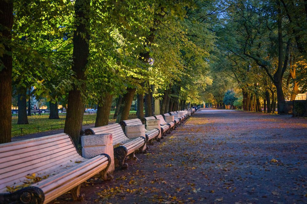 Photograph by Сергей Шпаков