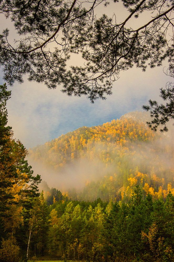 Photograph by Татьяна Титова