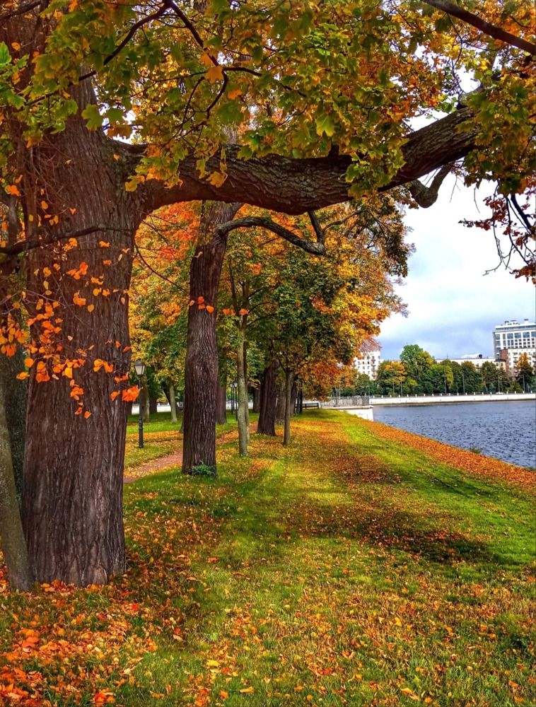 Photograph by Анна