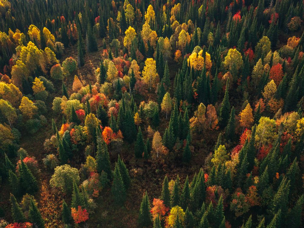 Photograph by Виктор Гагарин