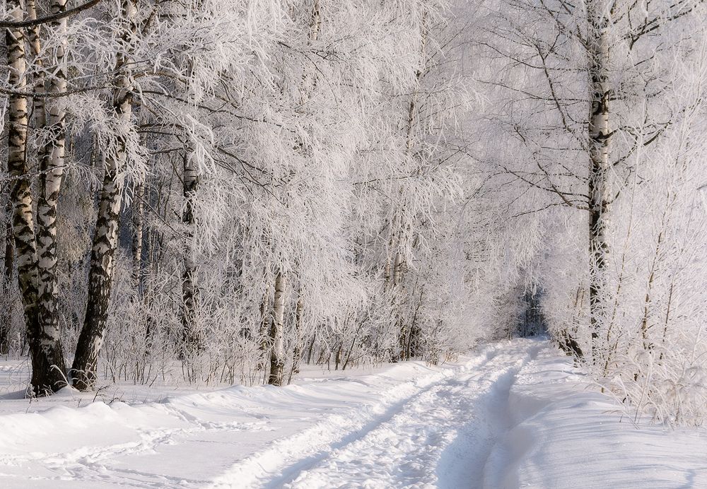 Photograph by Елена Потемина