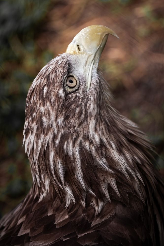 Photograph by Наталья