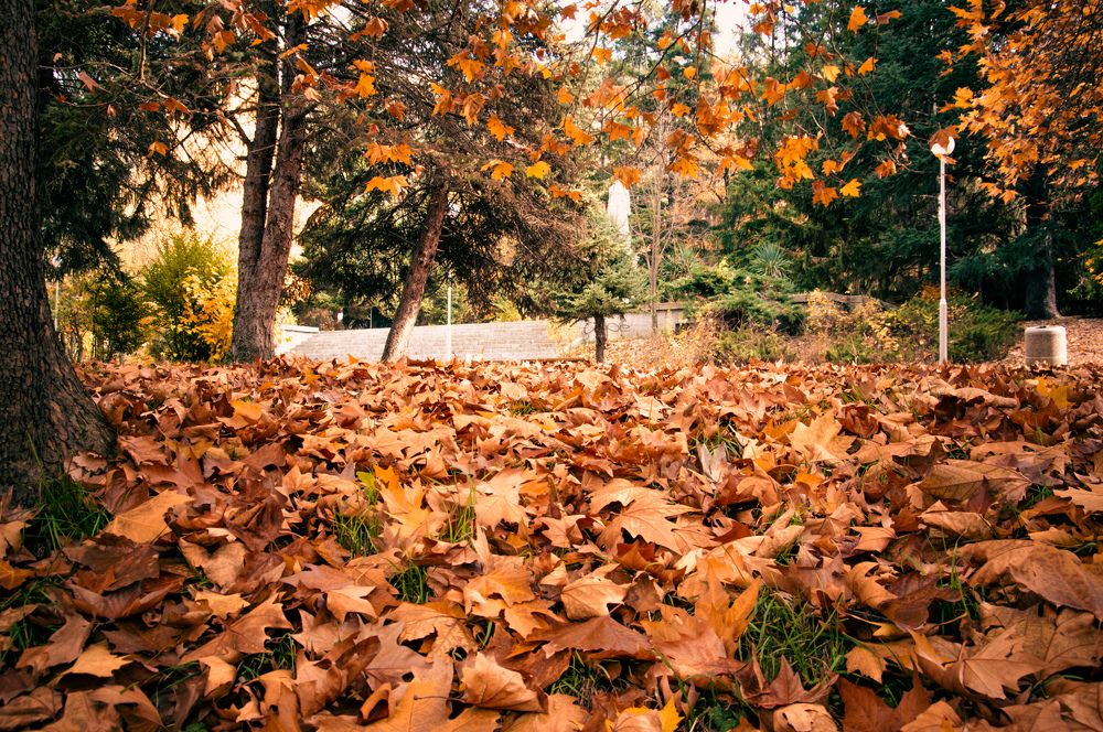 Photograph by Христо Колев