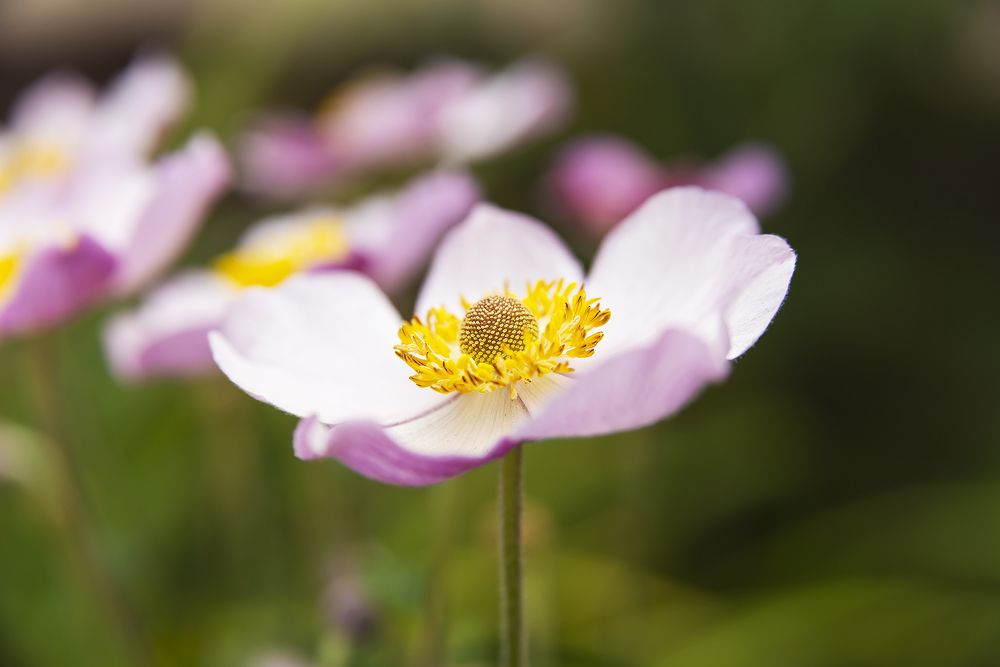 Photograph by Дроздова Наталья