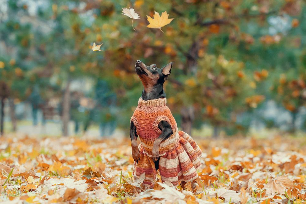 Фотография автора Гера Восьмая