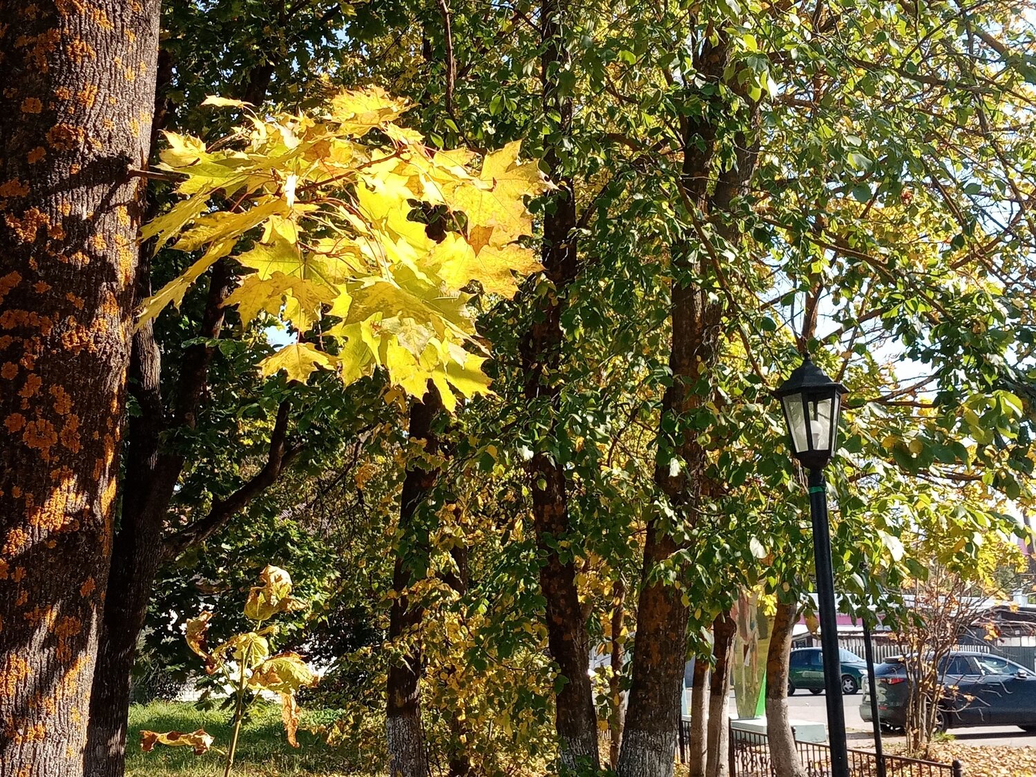 Photo #9571720