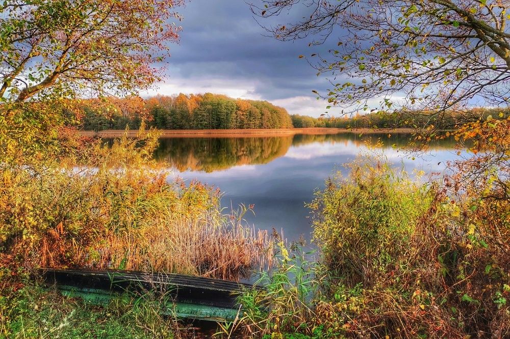 Краски осени