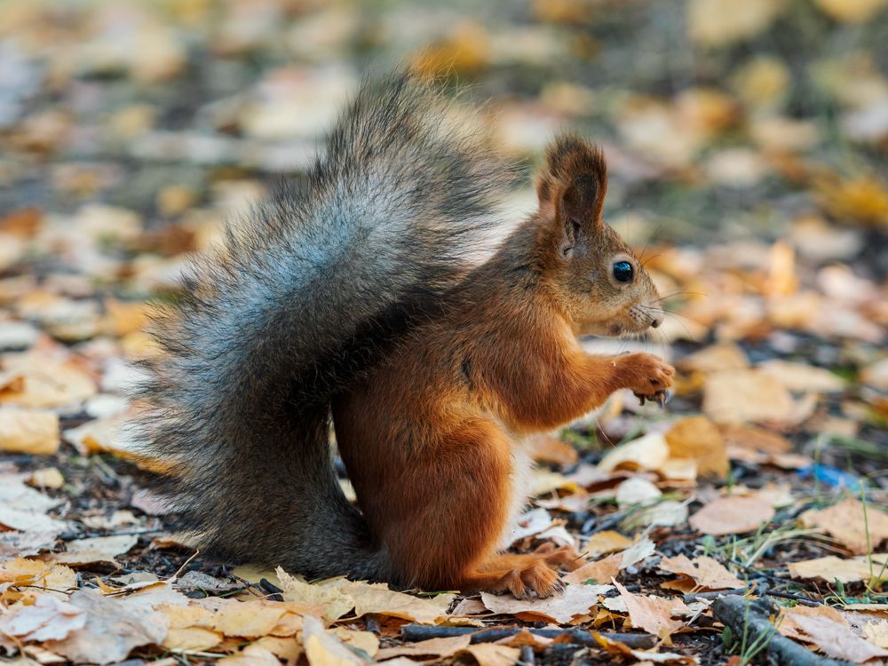 Photograph by Ольга Сергеева