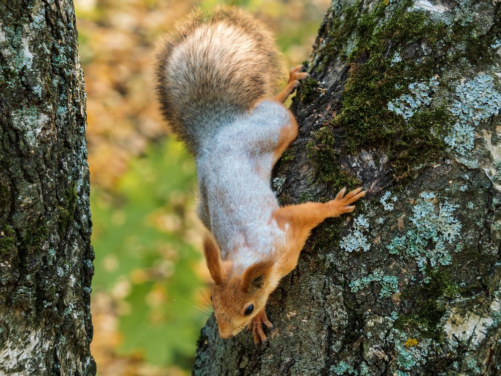 Photograph by Ольга Сергеева