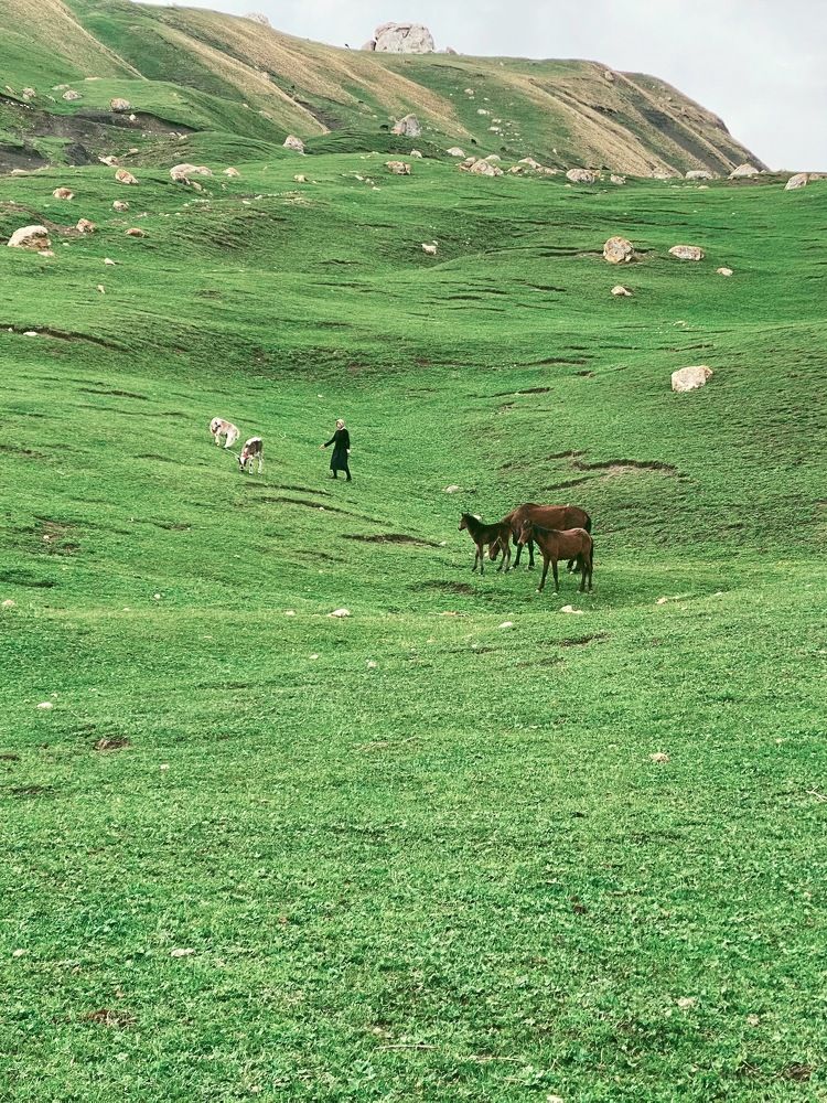 Photograph by Мария Акимова