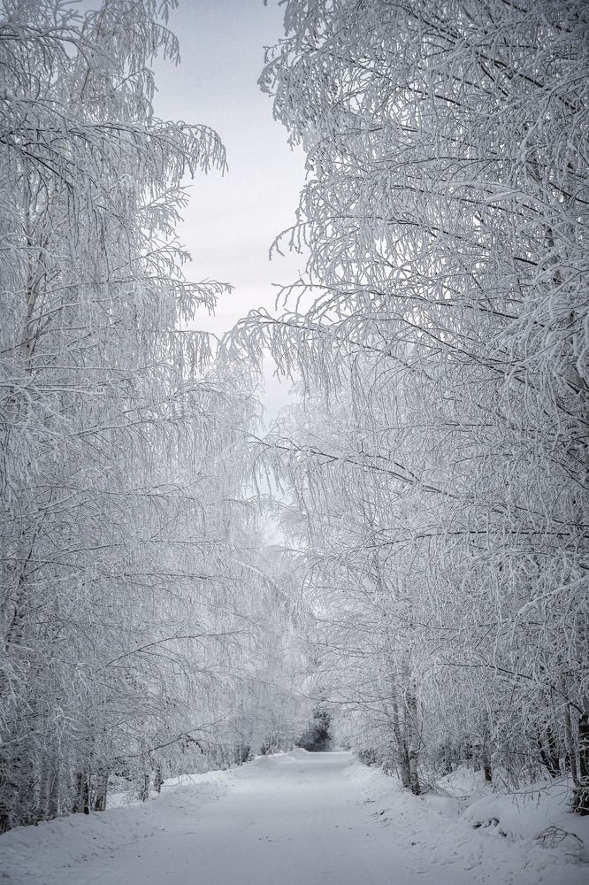 Photograph by Высотских Владимир