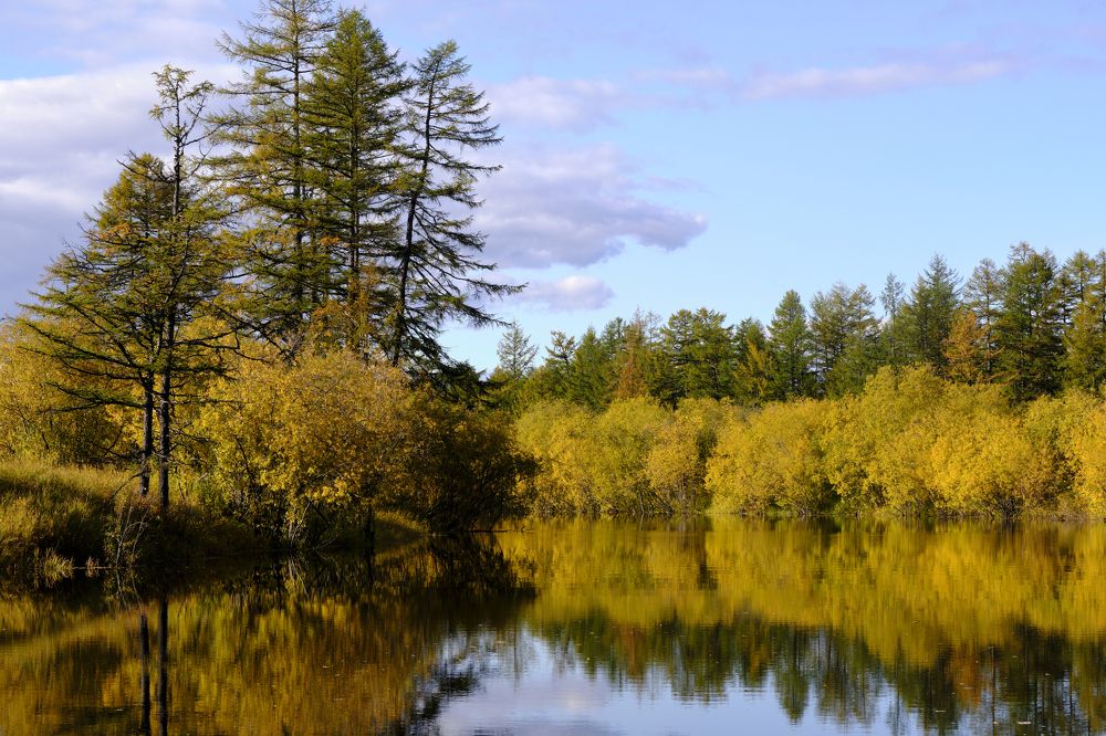 Photograph by Сергей Хазан