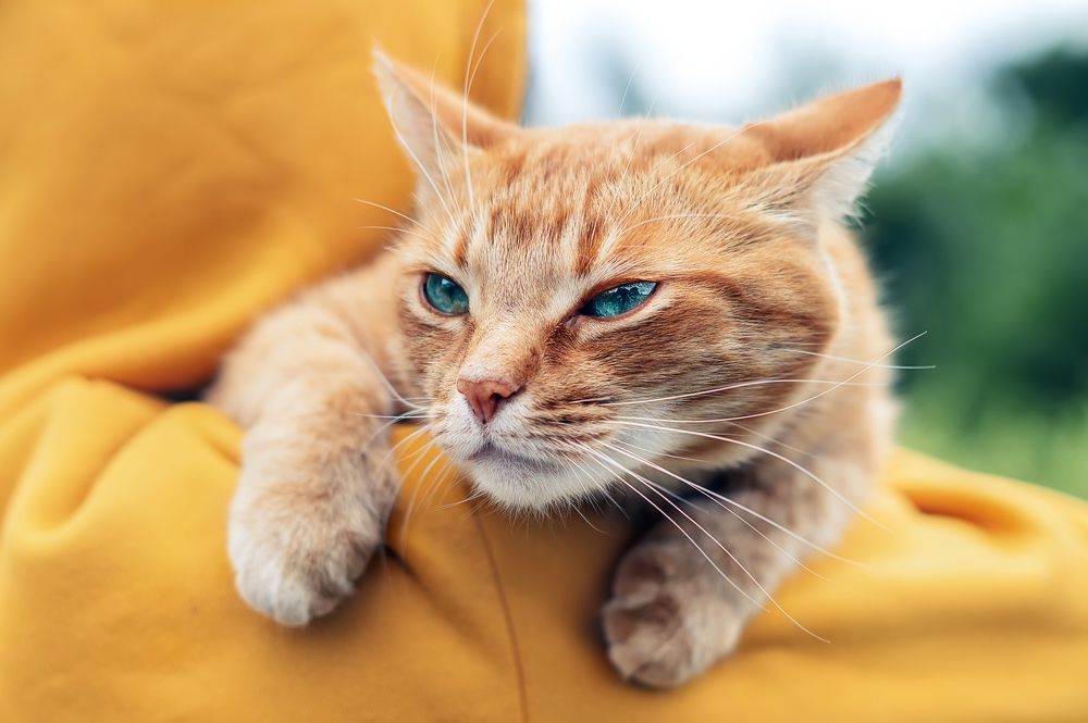 Photograph by Наталья Микулич