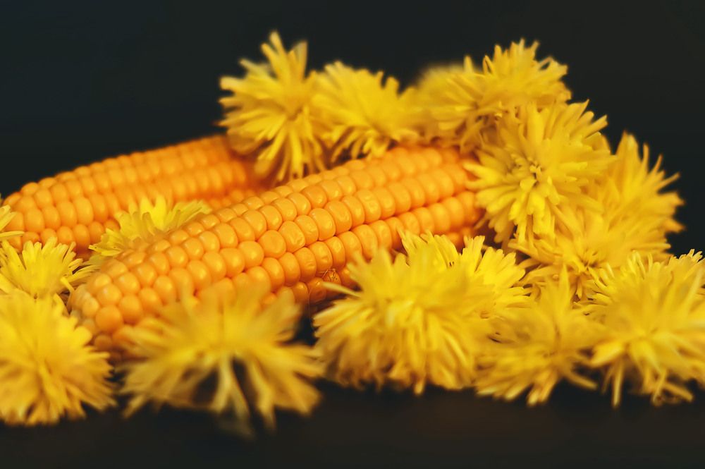 Photograph by Наталья Микулич