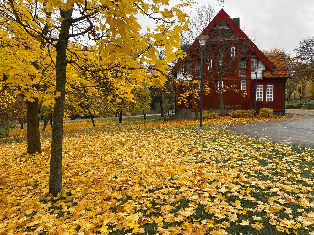 Photograph by Loreta Tepshi