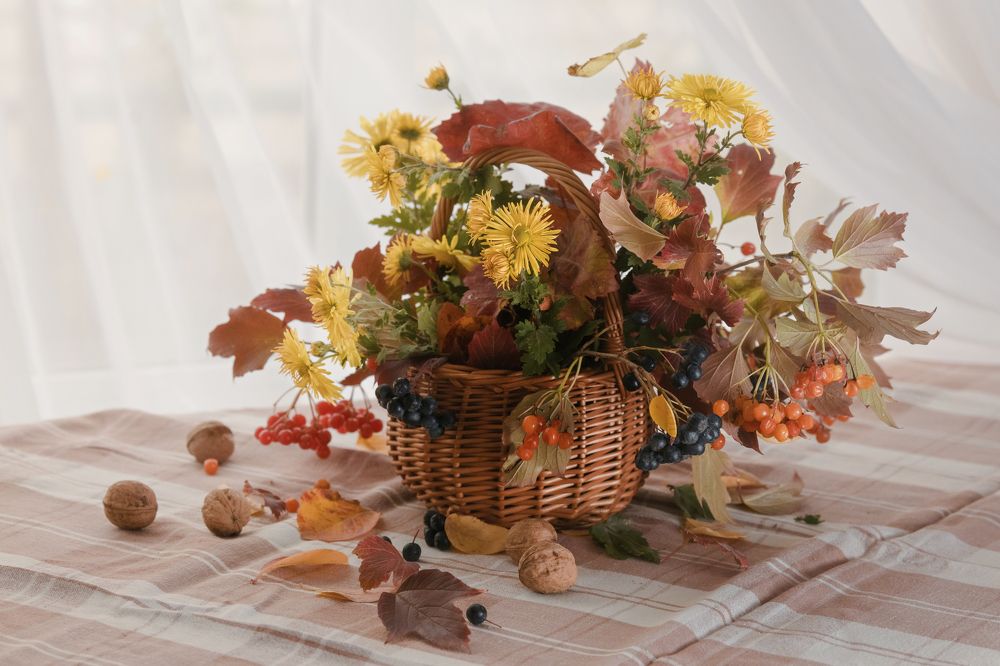 Фотография автора Юлия Носова