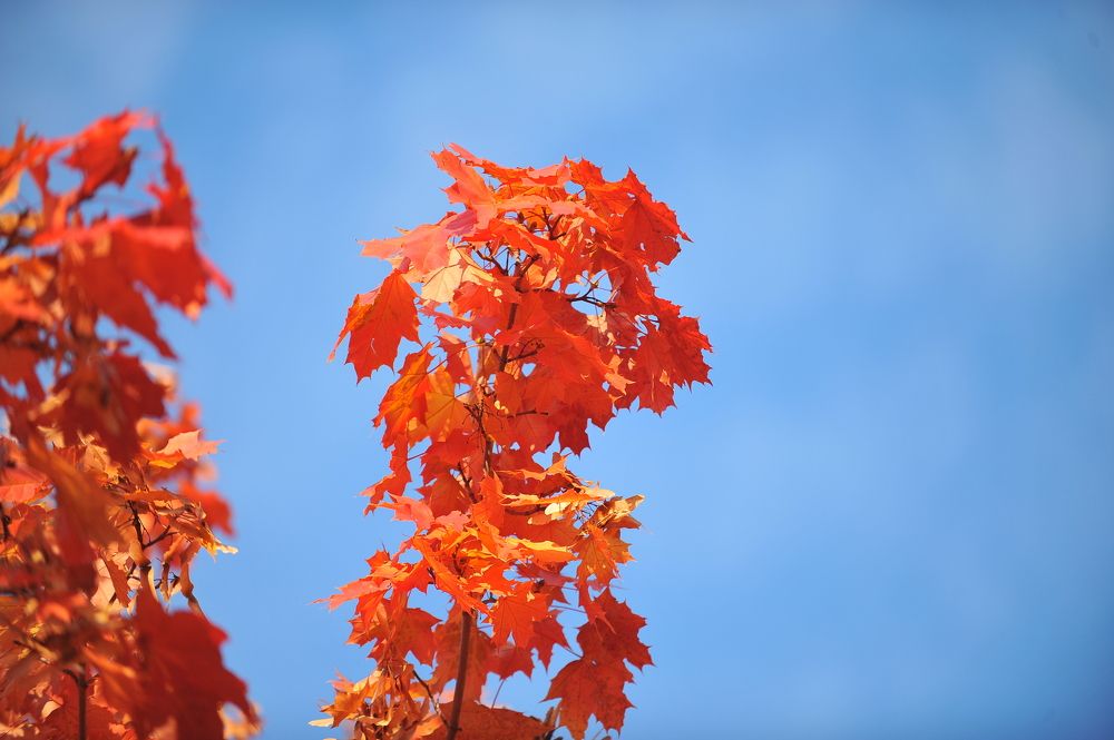 Photograph by Алексей Козлов