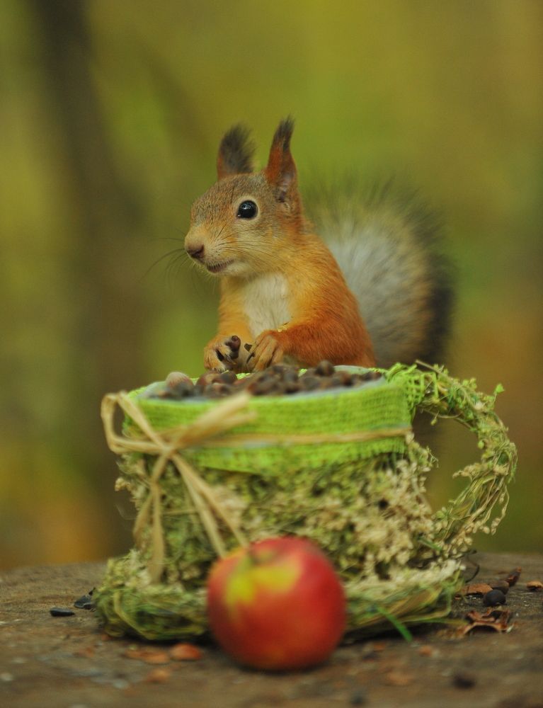 Photograph by Алексей Козлов