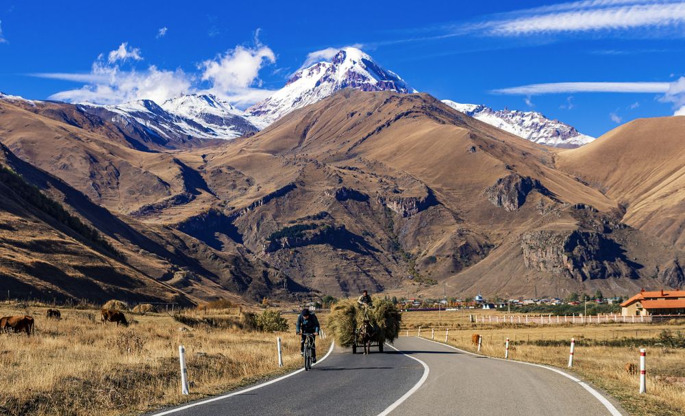 Photograph by Alex Kalpus