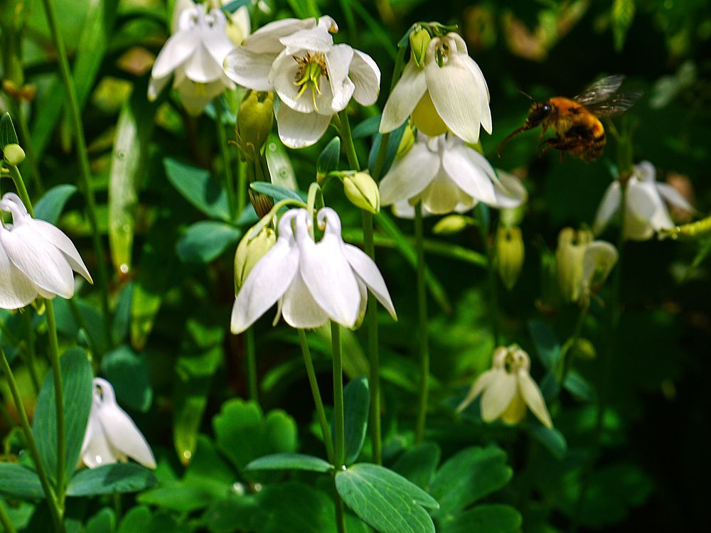 Photograph by Natalia Kopeva