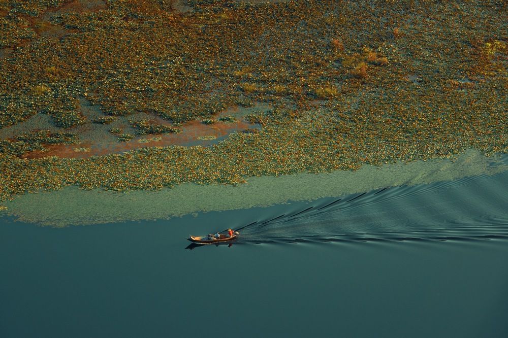 Photograph by Sergey Korshunov