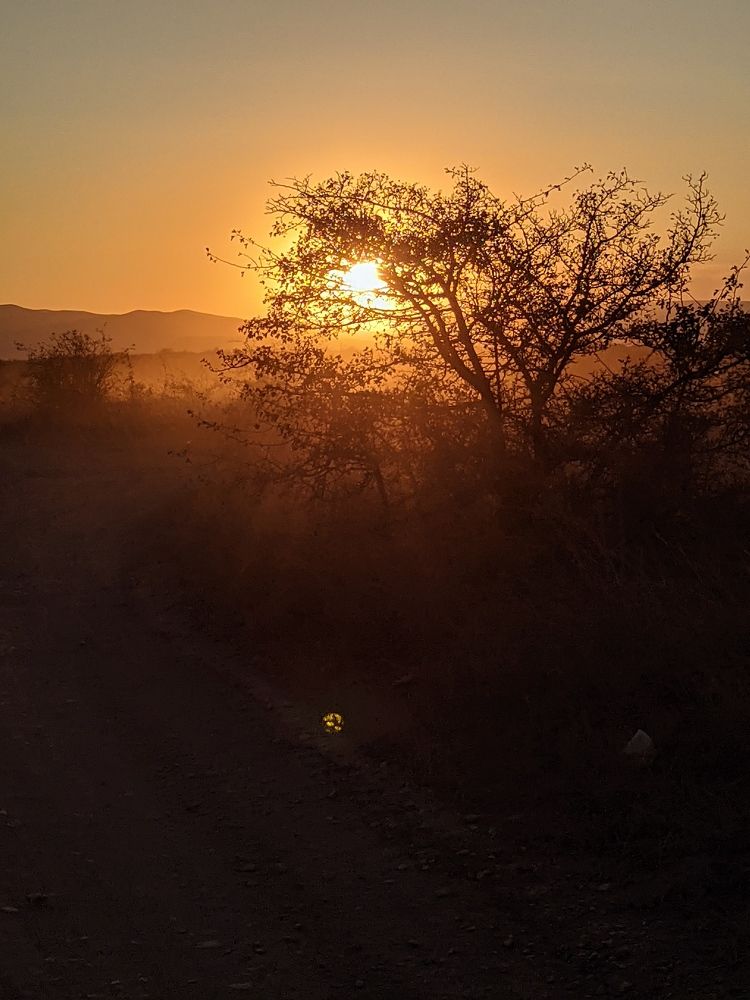 Photograph by Дарья Малиновская
