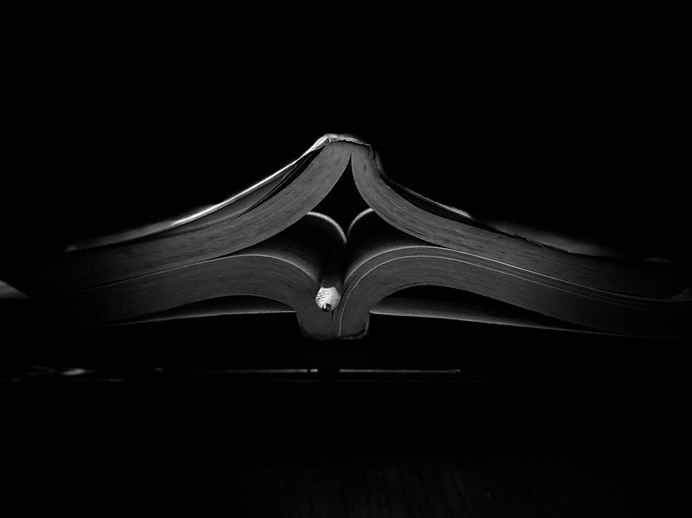 Photograph by Naveena Wimalarathne