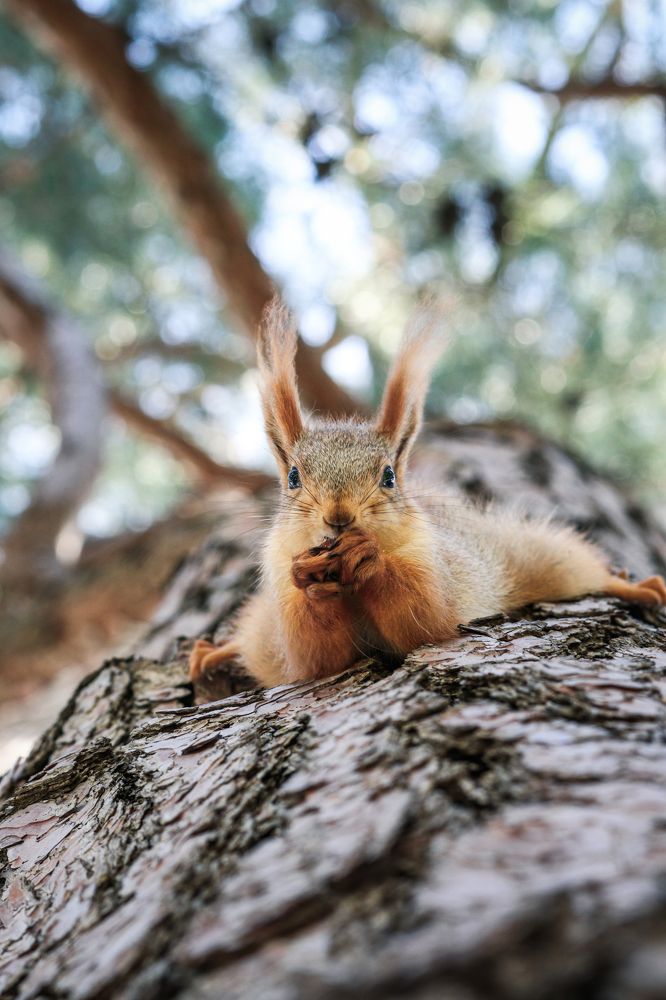 Фотография автора Илья Малеев