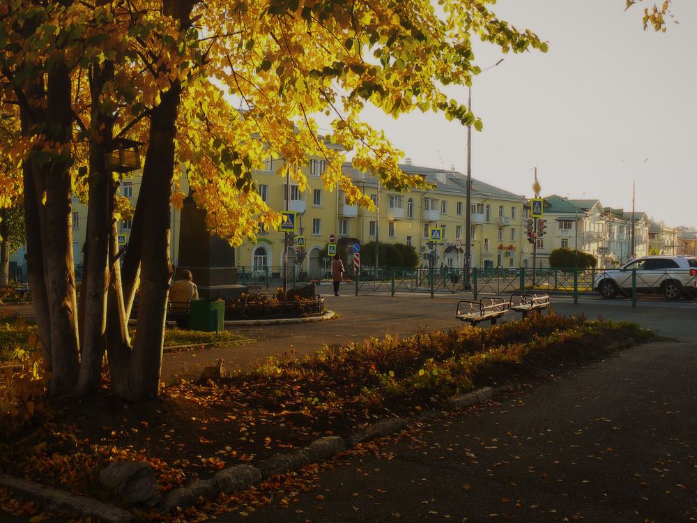 Photograph by 