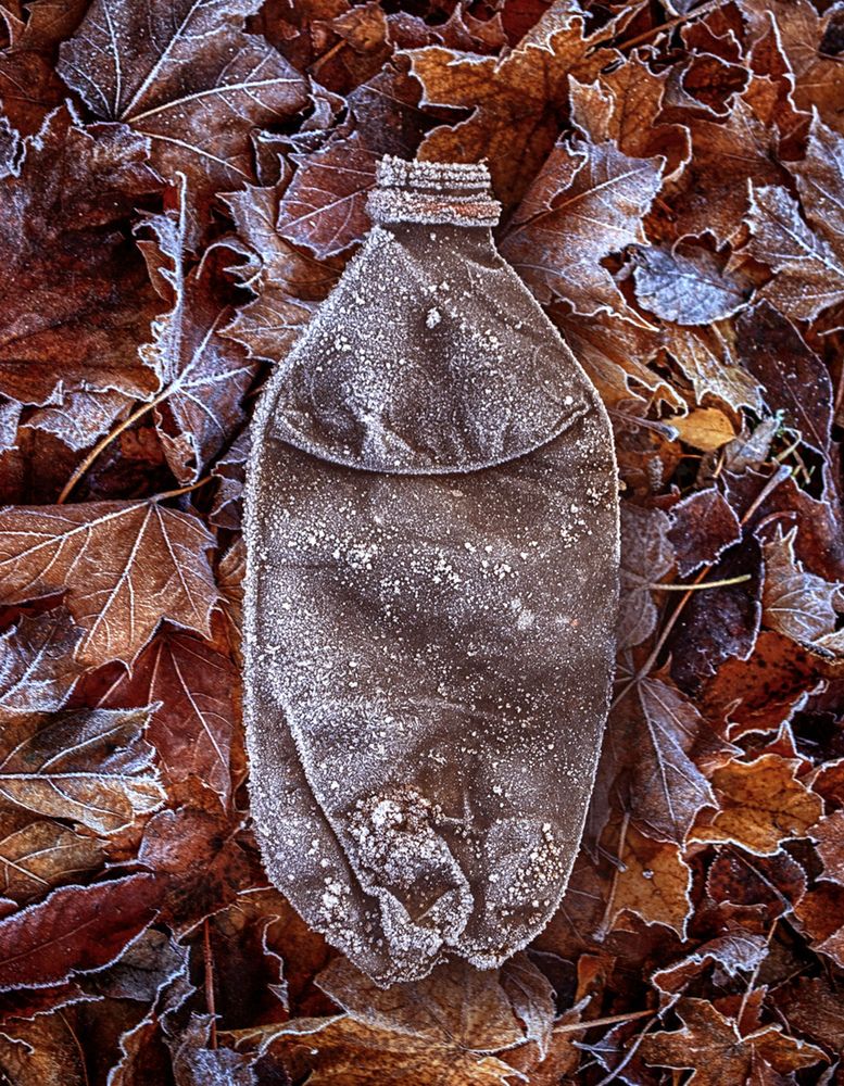 Photograph by Борис Кравецкий