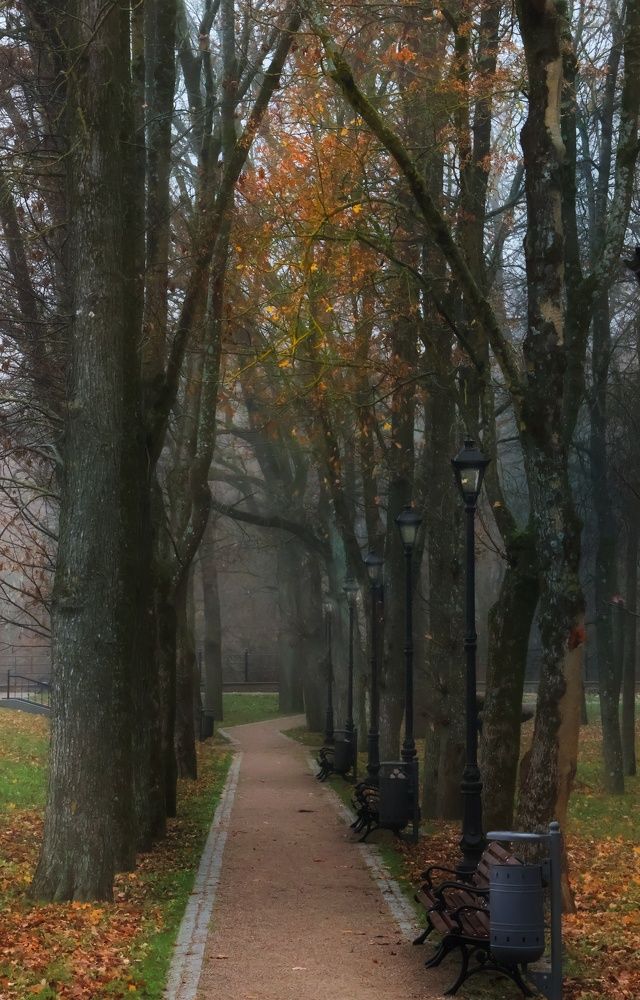 Photograph by Olga Asson